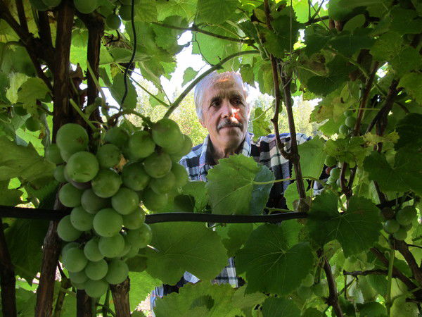 Александр Кривоноженков