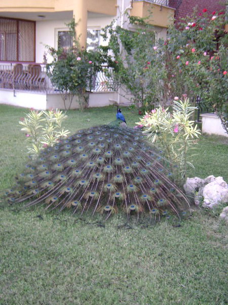 Татьяна Пилюгина