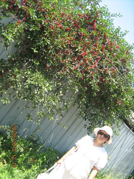 Бибигуль Хасенова