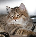 Марина Соловьева