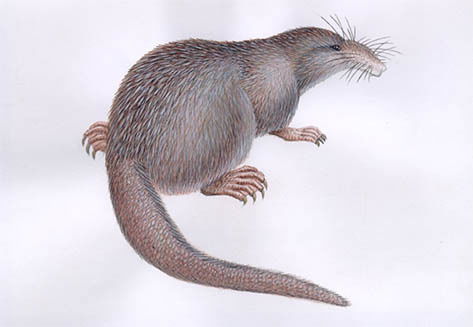 Sergey Vladimirovich