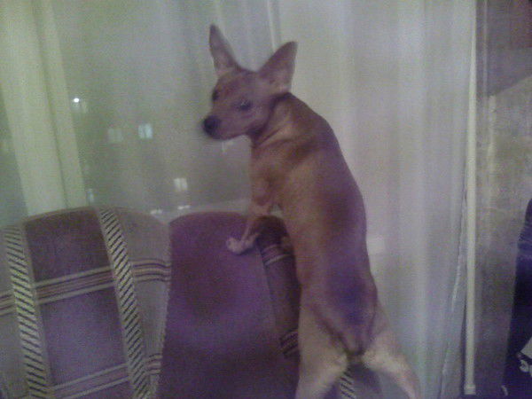 Константин Теньковский