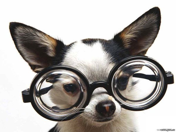 Сергей Шляхов