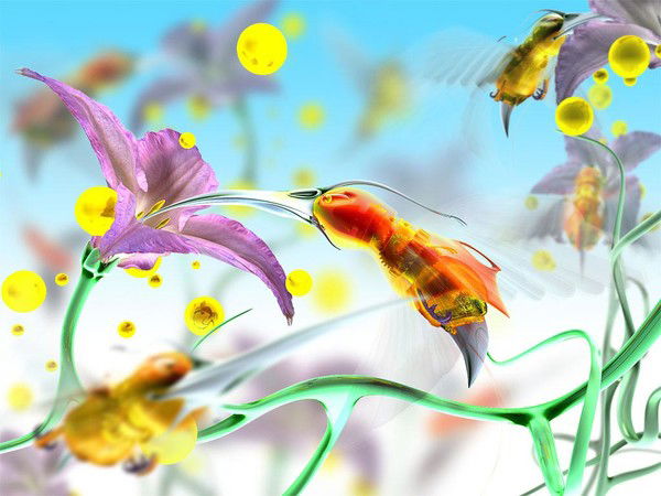 Нина Данилкович