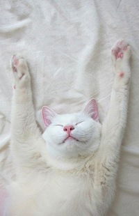 Марина Пономарёва