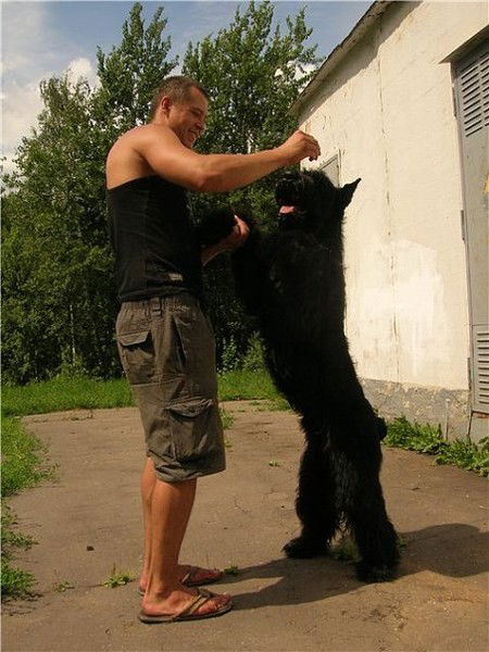 Антон Михайлищев