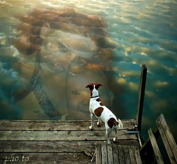 Татьяна Cтарцева