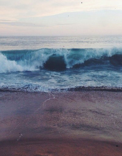 Таня Брюзгина