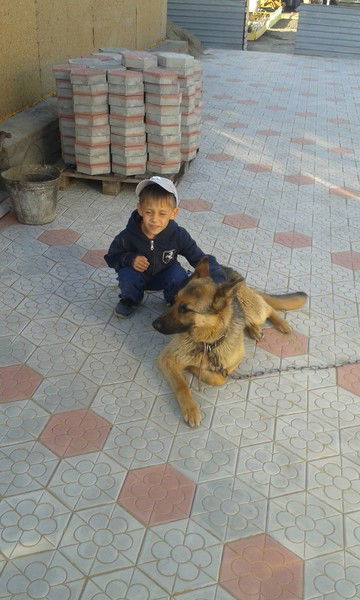 Владимир Гнатюк