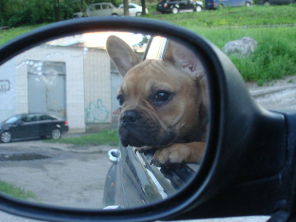 Наталья Крюкова