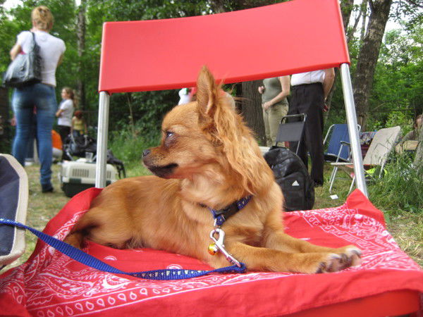 Виктор Розанов