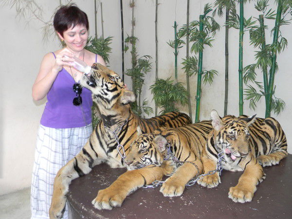 Елена Бондаренко