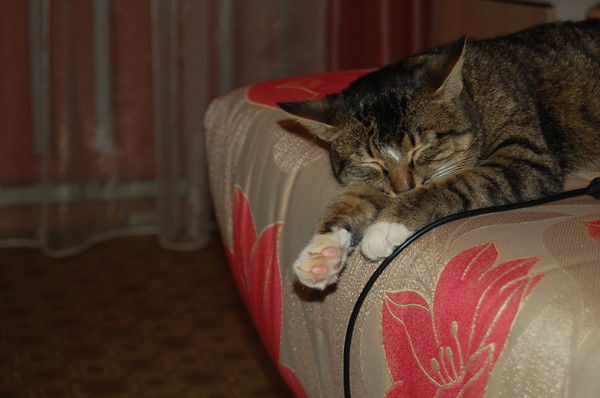 Михаил Денисов