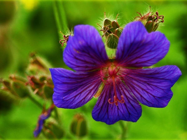 Центр Занятости Тайыншинский Р-Н