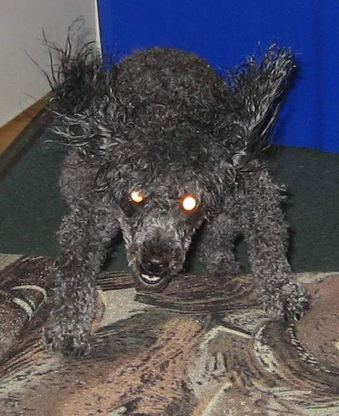 Элина Фёдорова