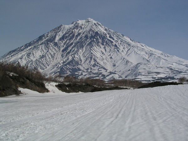 Николай Викторович