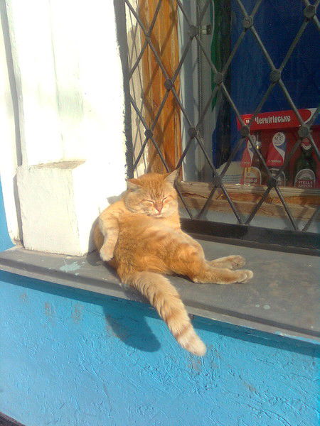 Артём Приходько