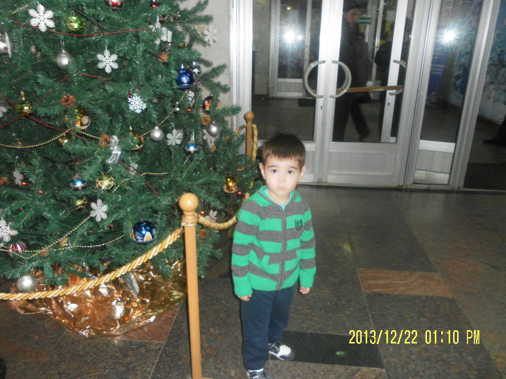 Дмитрий Пикалов