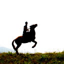 Alisher Tanirbergen