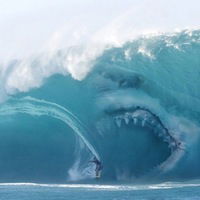 Олег Курышов