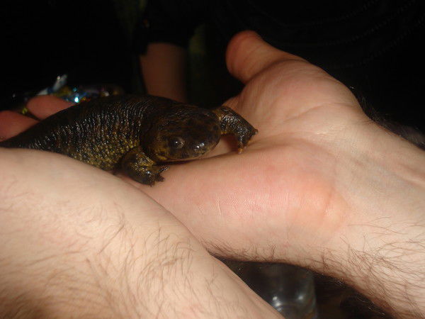 Михаил Иванов