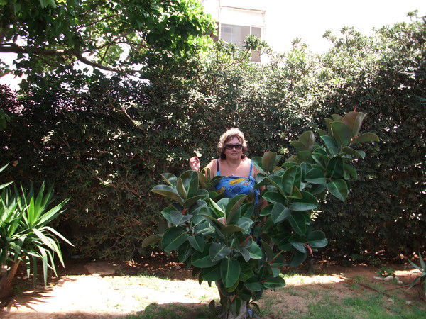 Наталья Марченкова