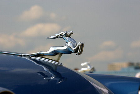 Наталья Тенькова