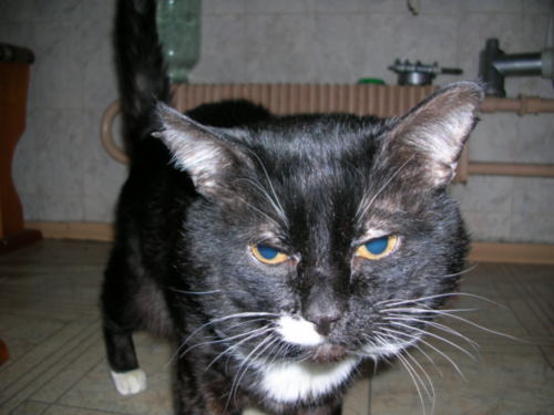 Андрей Добряков