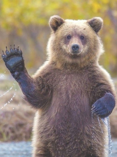 Алексей Букин