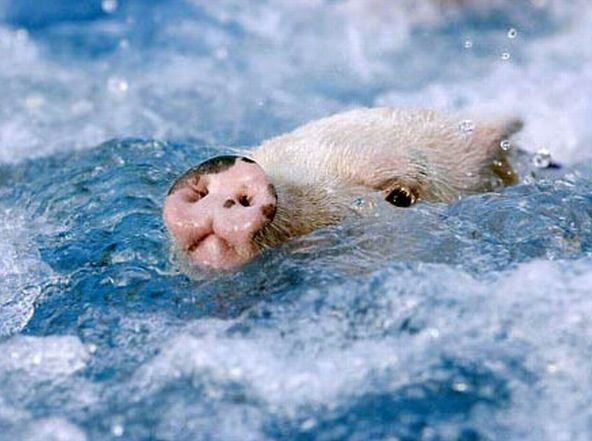 Валентина )))