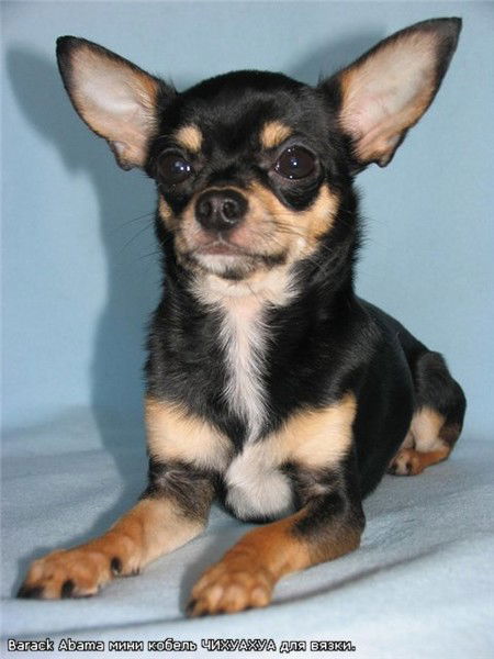 Мариса Лидинкова