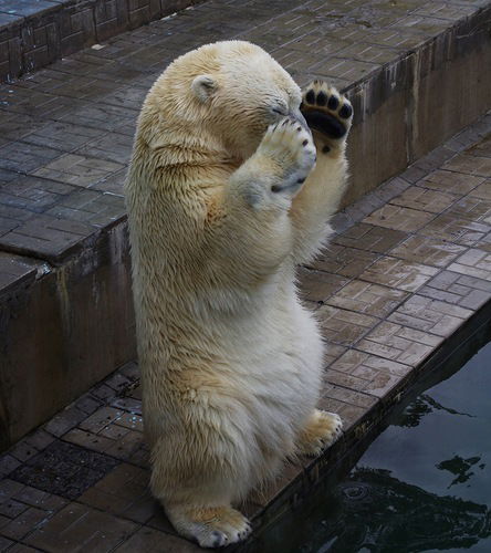 Екатерина М