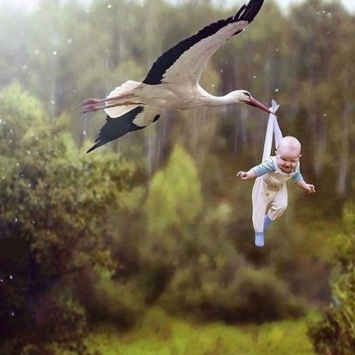 Ефремова Ольга