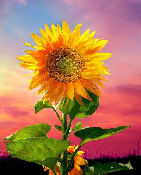 Александр Ляпустин