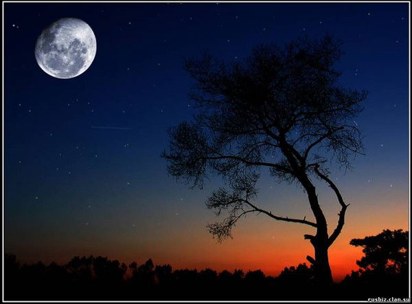 Алим Султанулы