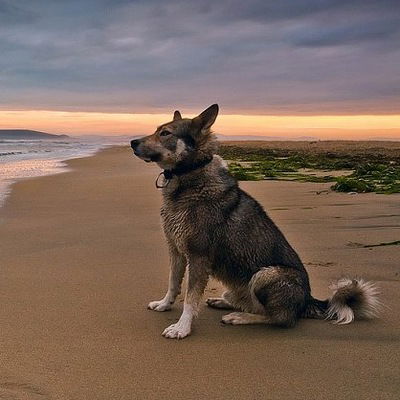 Регина Абилова