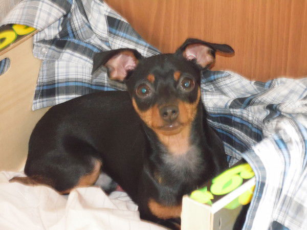 Ххххххххх )))))))))))