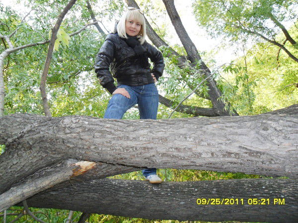 Елена Крашенинникова