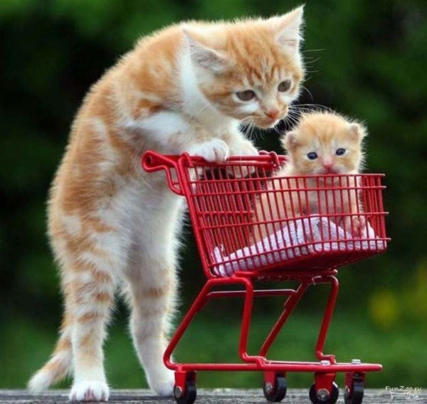 Светлана Сулейманова