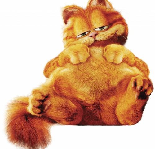 Владимир 123456