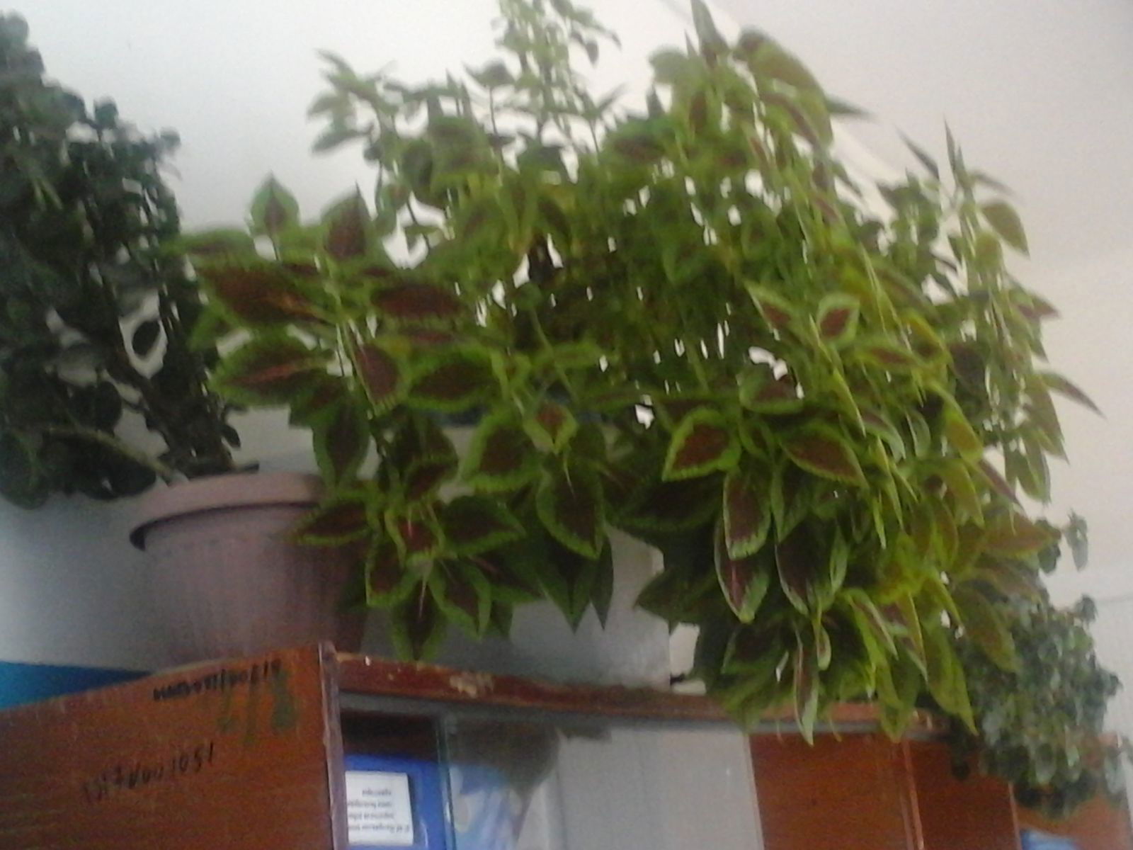 Дильфуза Юлдашбековна