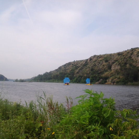 Сергей Васечкин