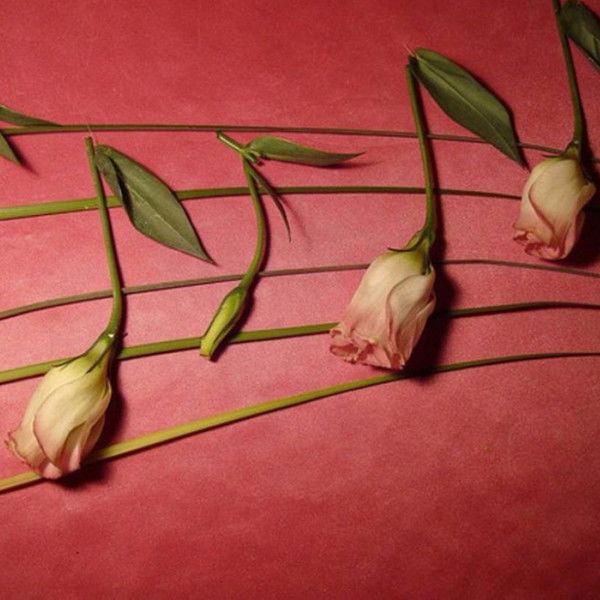 Сергей Сергеев