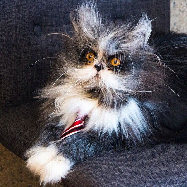 Александр Ден