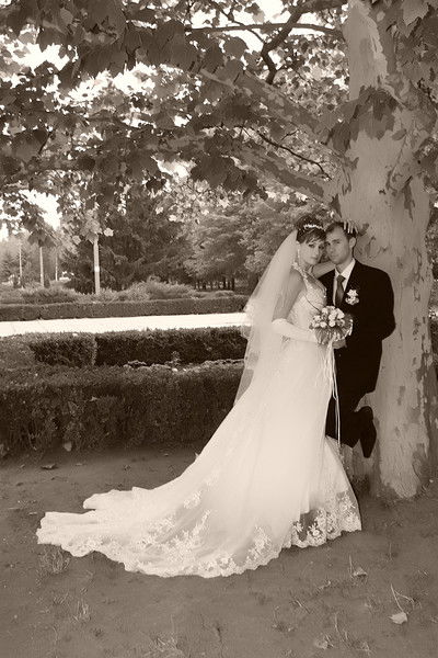 Ирина Долгиер