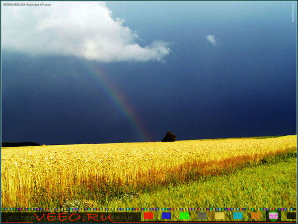 Светлана Малышева