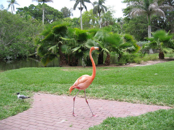 Галина Быкова