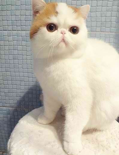 Наталья Воробьёва