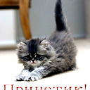 Наталья Прохоренко