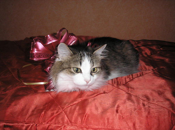 Татьяна Муравская